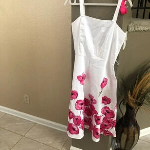 Alyn Paige 94% Cotton Dress Size 7/8